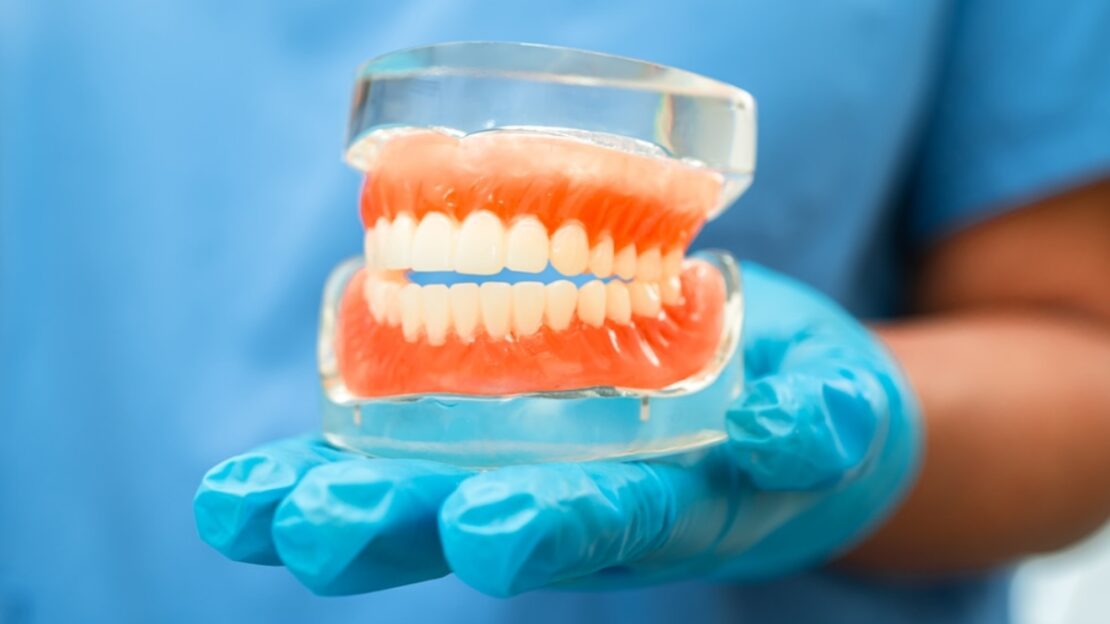 Dental professional holding an educational denture model showing upper and lower replacement teeth.