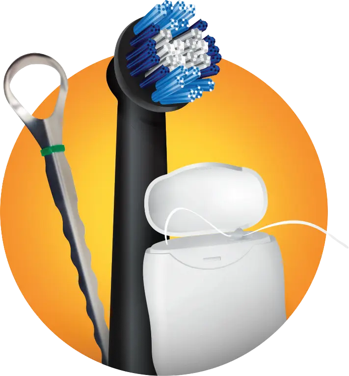 img-elevate 2 Dental tools including mirror, brush, and floss beside white tooth model on orange background.